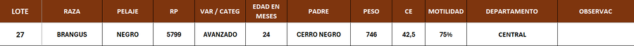 Lote LOTE 27