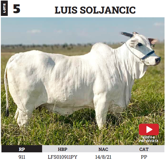Lote LOTE 5 - PREÑECES