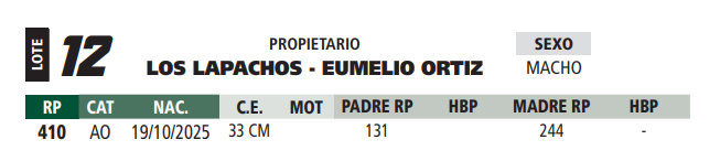 Lote LOTE 12