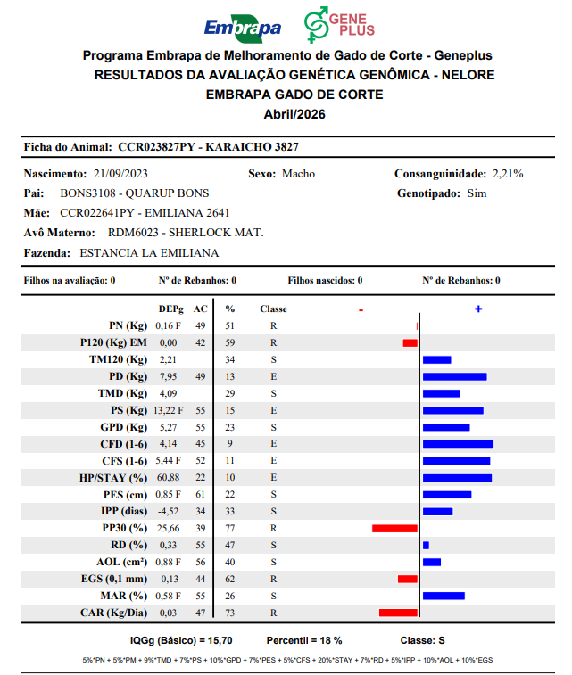 Lote LOTE 34