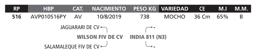 Lote LOTE 48