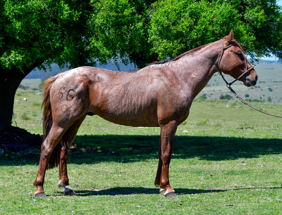 Lote Duque Las Cascadas
