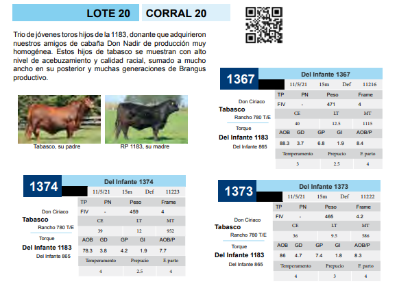Lote CORRAL 20