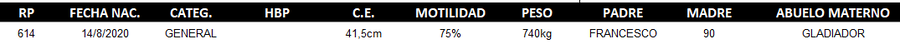 Lote LOTE 46