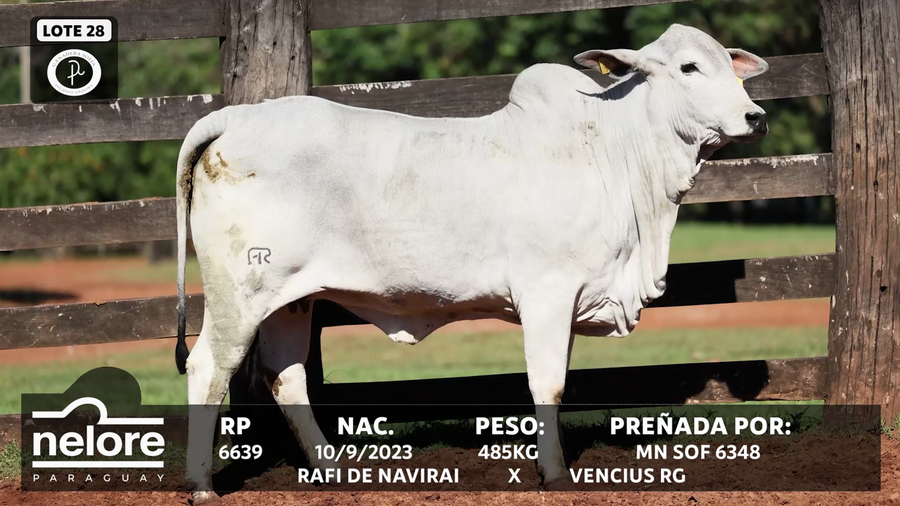 Lote LOTE 28
