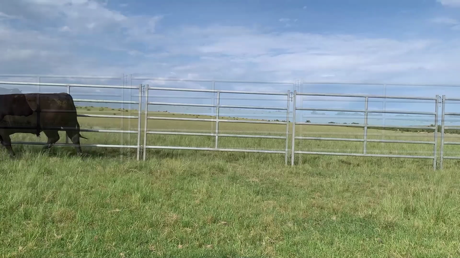 Lote "El Gualicho", RP 6587