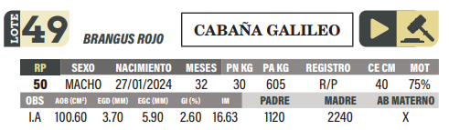 Lote LOTE 49