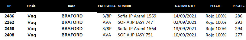 Lote Lote P8 Hembras por Pantalla