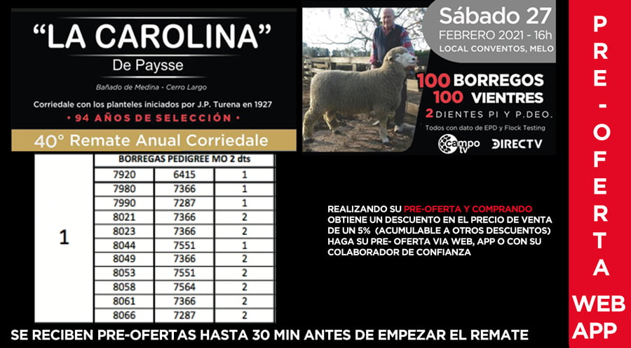 Lote 11 Borregas en Cerro Largo, Cerro Largo