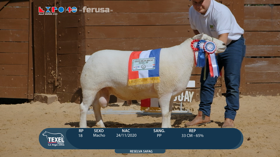 Lote LOTE 41 - BOZAL