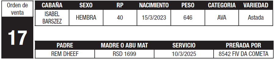 Lote LOTE 17