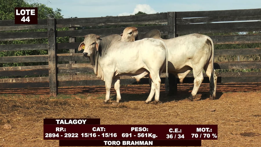 Lote Cabañas de Tradición - Lote 44