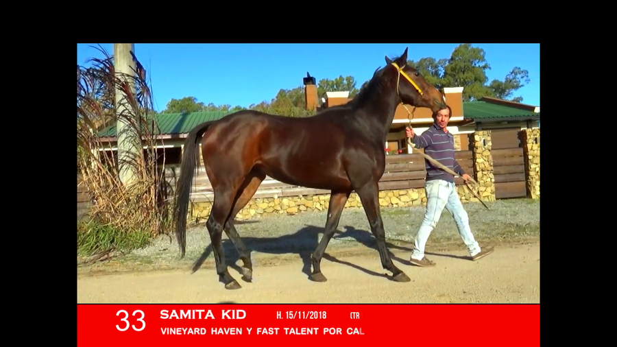 Lote SAMITA KID