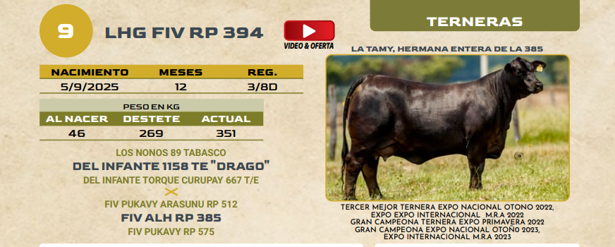 Lote LOTE 9