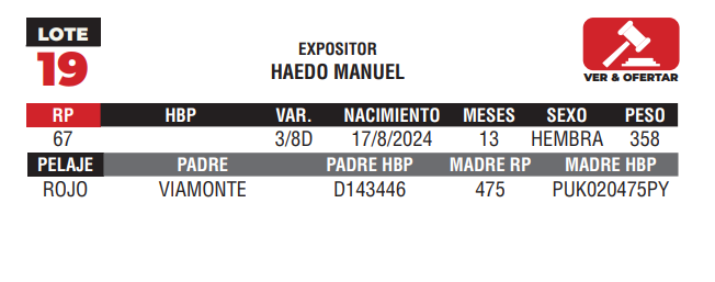 Lote LOTE 19 - JUNIOR