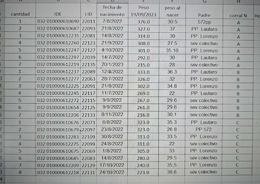 Lote 9 Vacas PC en Concepción del Uruguay, Entre Ríos