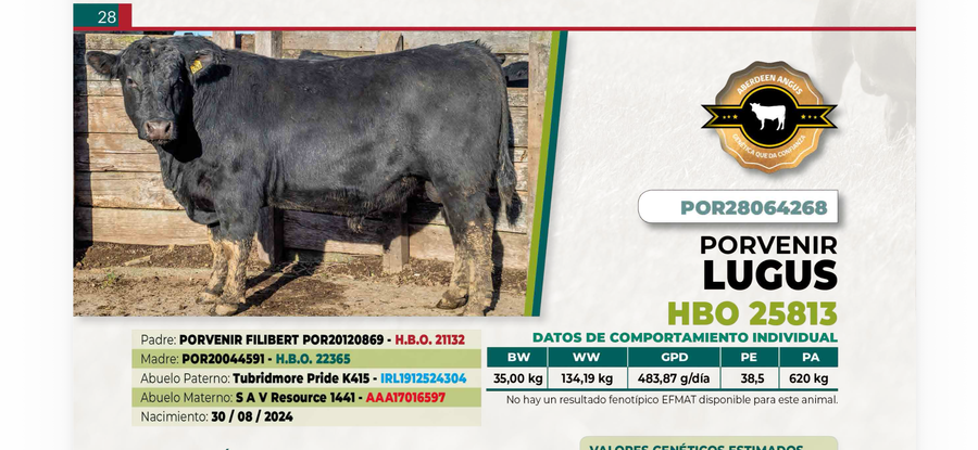 Lote 1 Toro LUGUS DIIO 4268