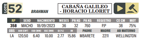Lote LOTE 52