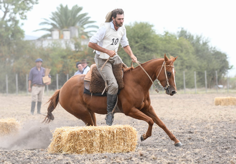 Lote SE MANSA DEL CIELO