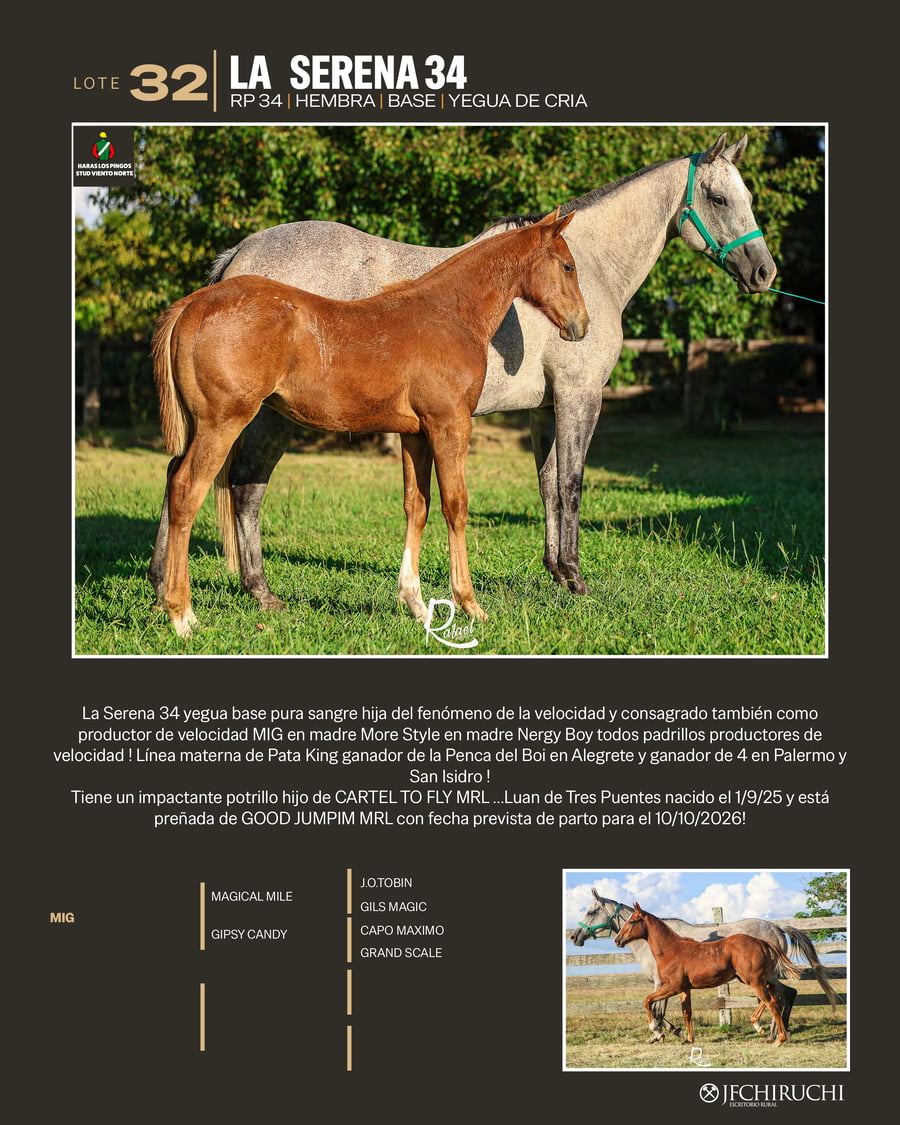 Lote LA SERENA 34