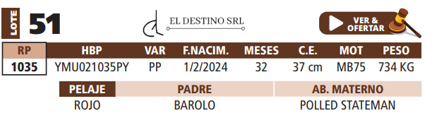 Lote LOTE 51