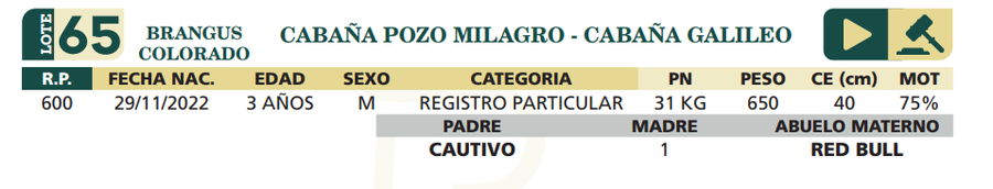 Lote LOTE 65