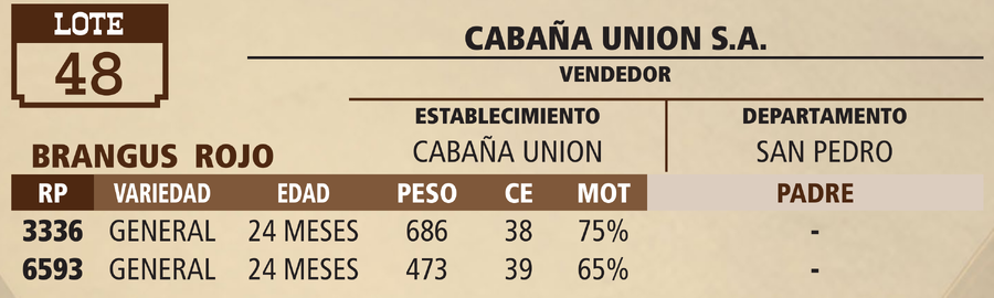 Lote LOTE 48 - PANTALLA