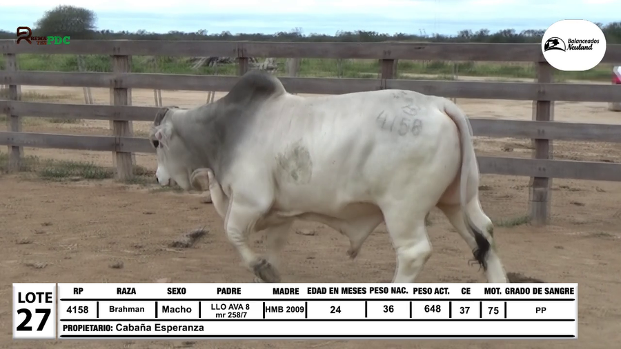 Lote Lote 27