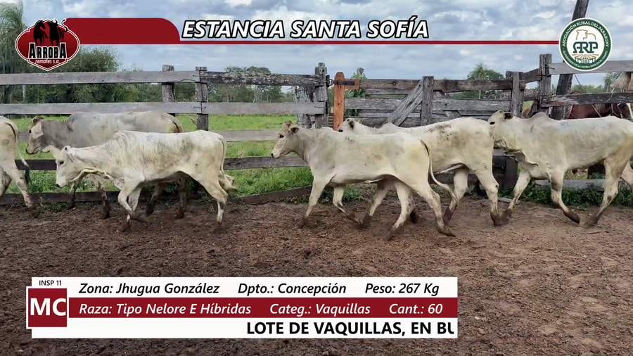 Lote ESTANCIA SANTA SOFÍA