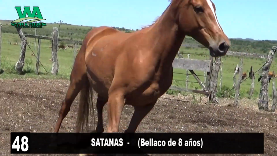 Lote SATANAS