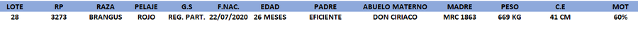 Lote LOTE 28