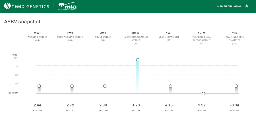 Lote Carnero TOP, 21-1431