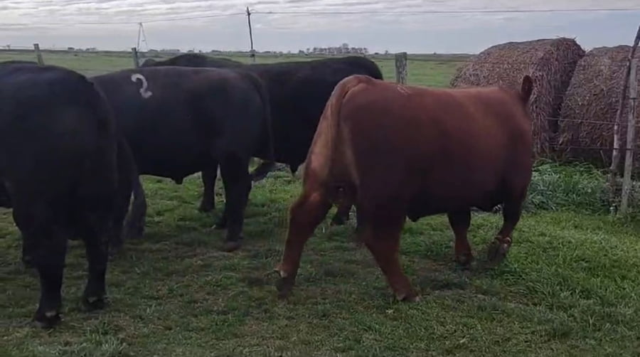 Lote Cabaña El destino