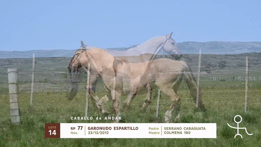 Lote GARONUDO ESPARTILLO