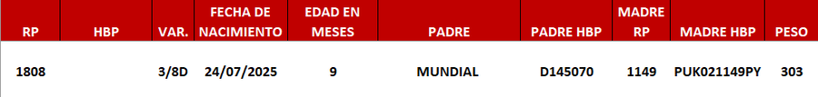 Lote LOTE 6 -DE JUNIOR