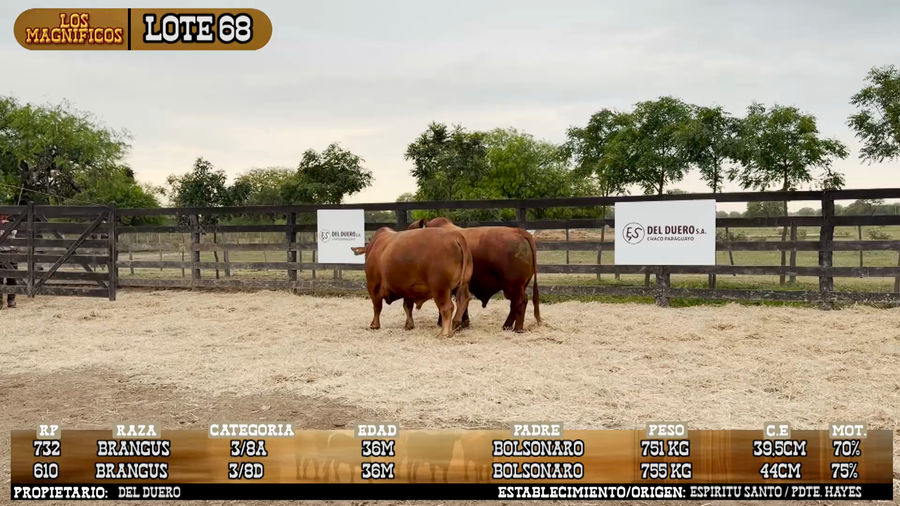 Lote LOTE 68 - PANTALLA