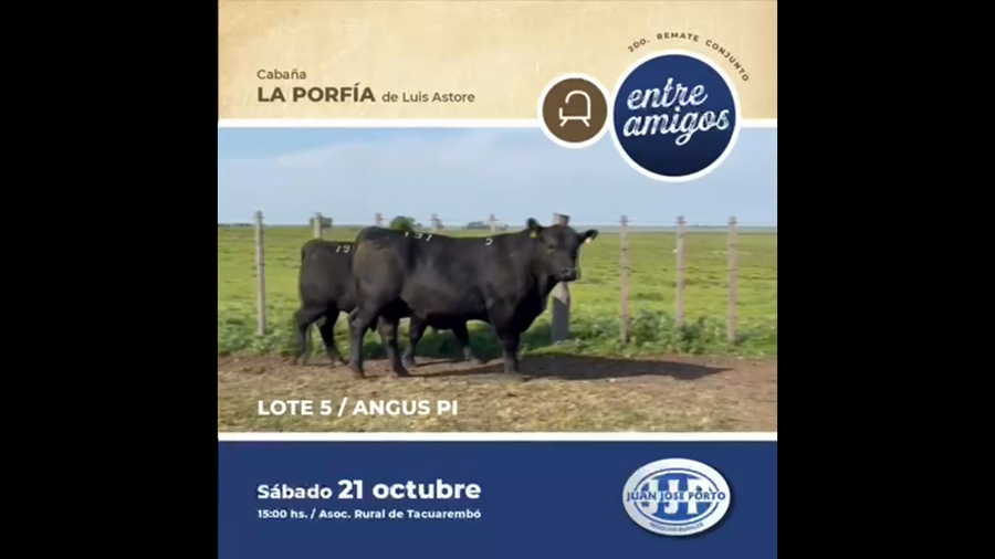 Lote Cabaña La Porfia