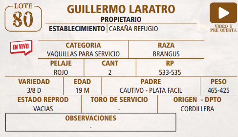 Lote LOTE 80 -EN VIVO