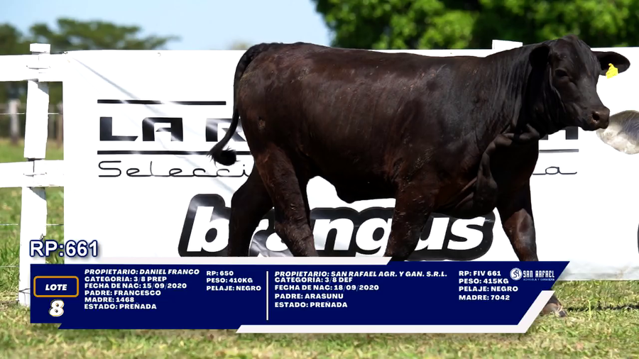 Lote LOTE 8- DUO