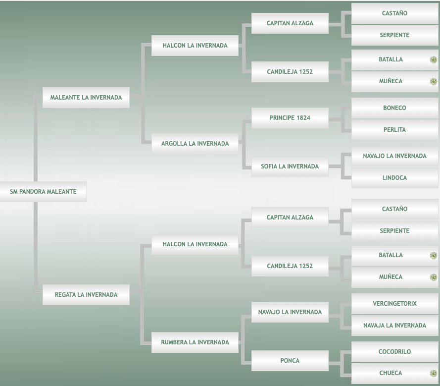 Lote SM Pandora Maleante
