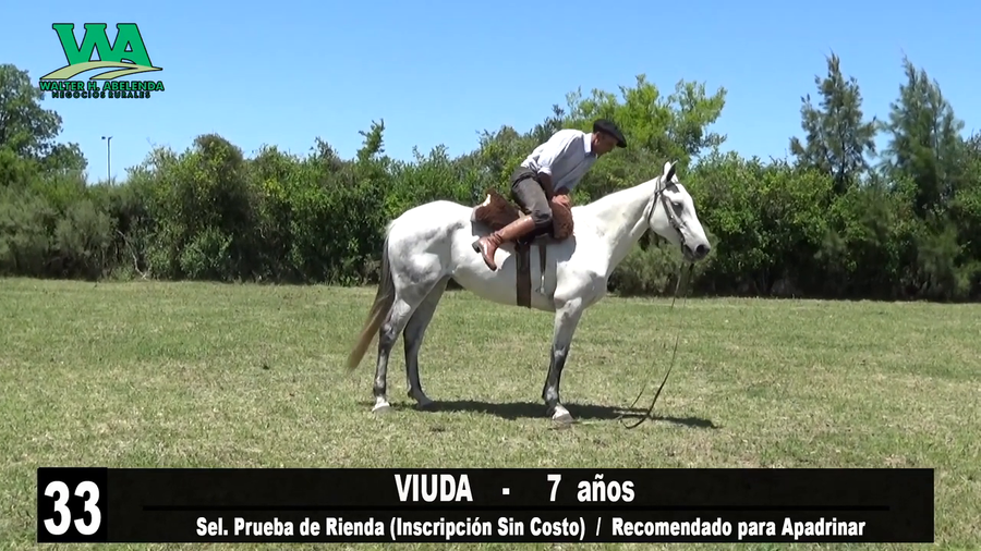 Lote VIUDA