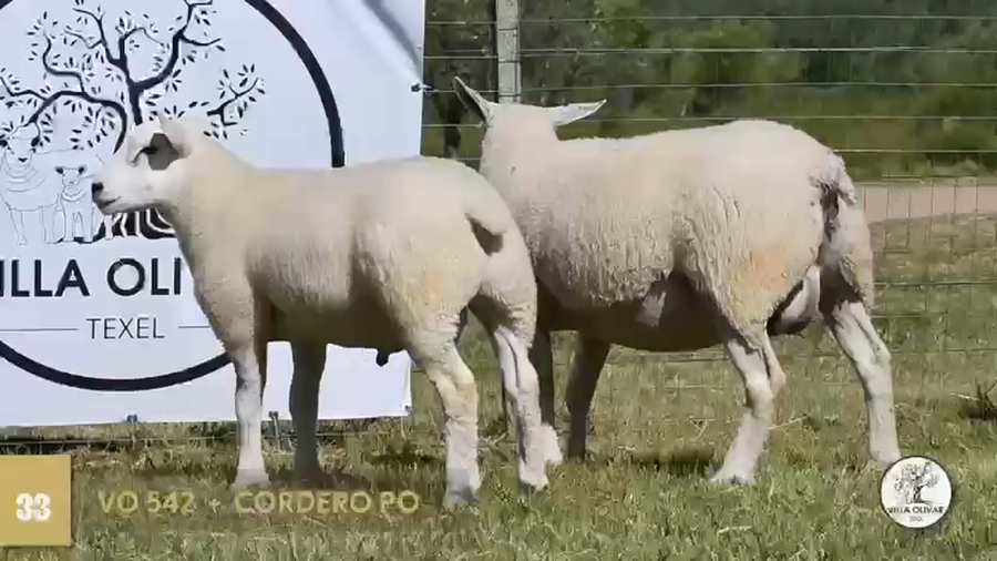 Lote 2 Borregas a remate en Texel Don Amilcar y Villa Olivar, Canelones
