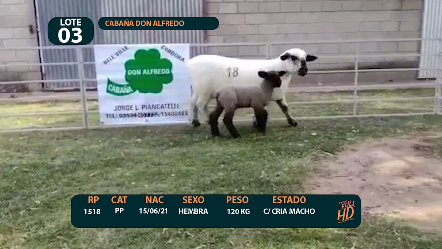 Lote LOTE 3 - CABAÑA ARGENTINA