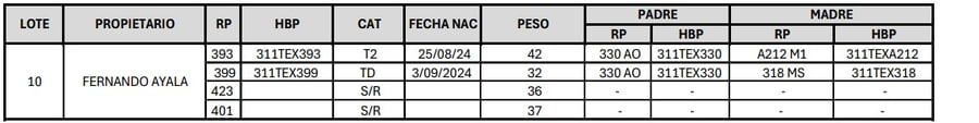 Lote LOTE 10