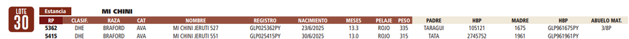 Lote LOTE 30