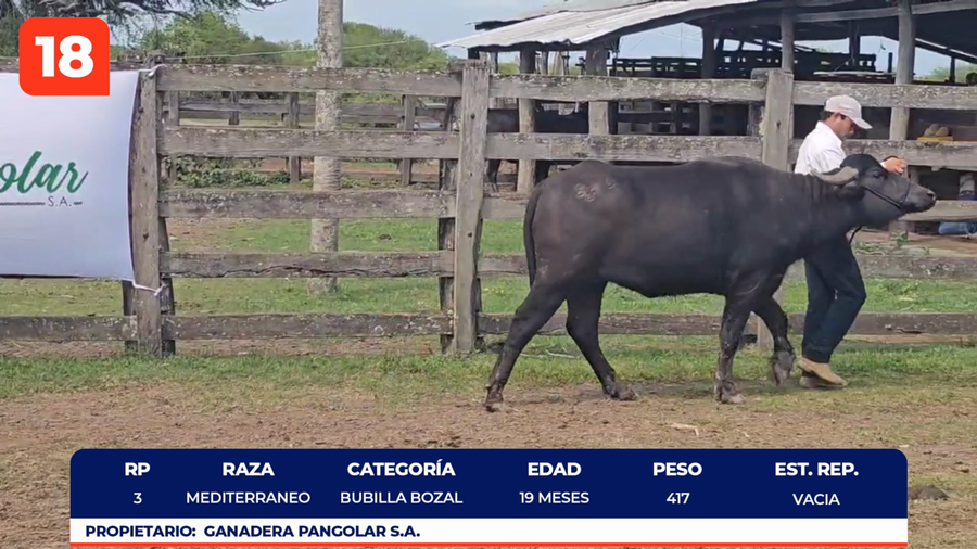 Imagen 1 del Lote Lote LOTE 18
