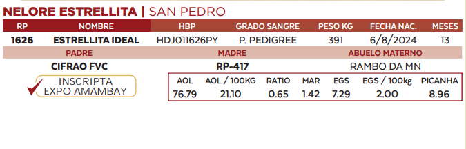 Lote LOTE 45
