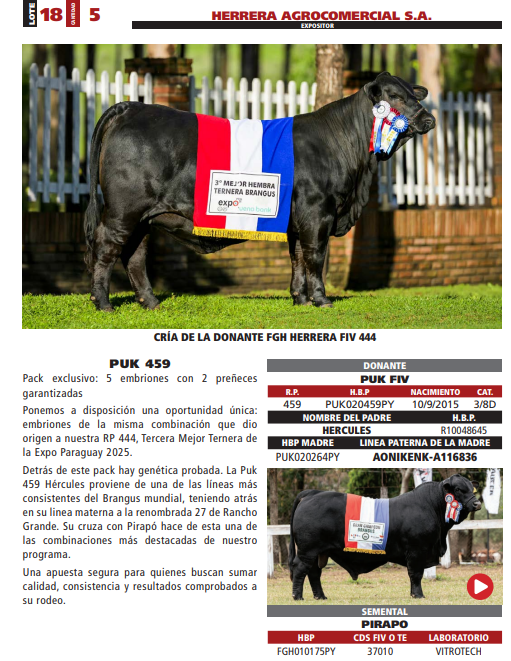 Lote LOTE 18