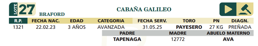 Lote LOTE 27