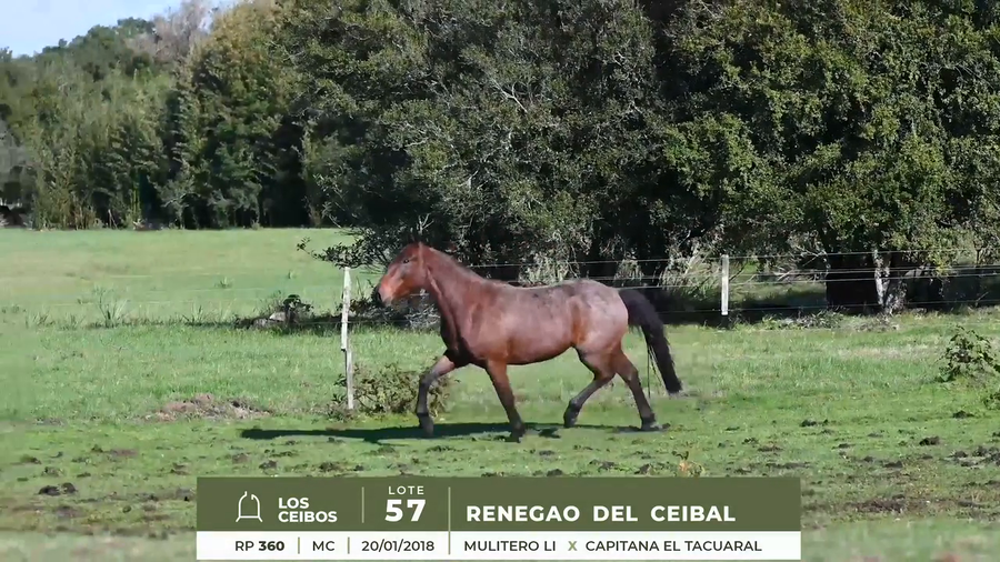 Lote RENEGAO DEL CEIBAL